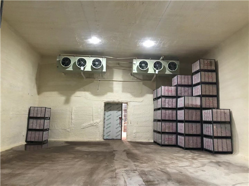 万搏（中国）苹果冷库安装案例